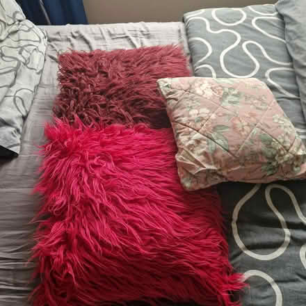 Photo of free 3 cushions 2 small cute pictures (Clondalkin D22) #1