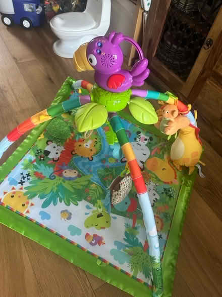 Photo of free Baby play mat (Hampton TW12) #1