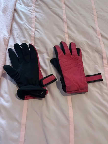 Photo of free Gloves (South Brooklyn) #1