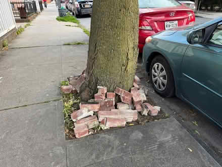 Photo of free Bricks (HUDSON) free for the taking (101 Van Sicklen St, Brooklyn) #2