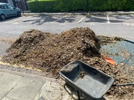 Photo of free Wood chips/ leaf mulch (N79DE) #1