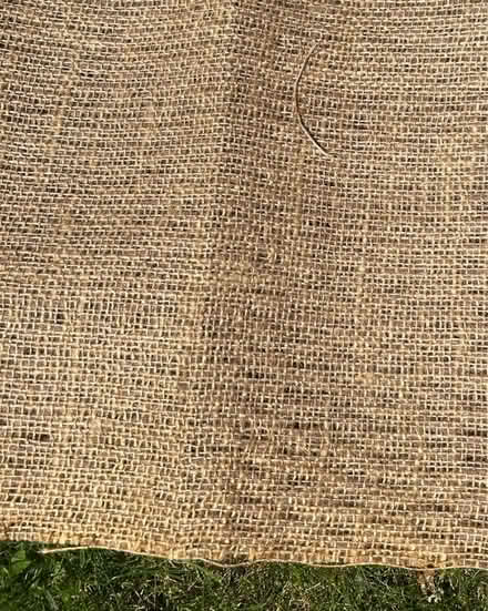 Photo of free Carpet underlay offcuts (Phippsville) #2