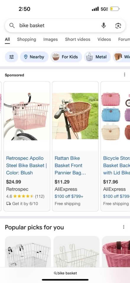 Photo of Bike Basket (The Bronx) #1