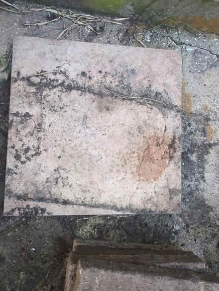 Photo of free 1 of 45cm Square Slab (Castlepoint BH8) #1