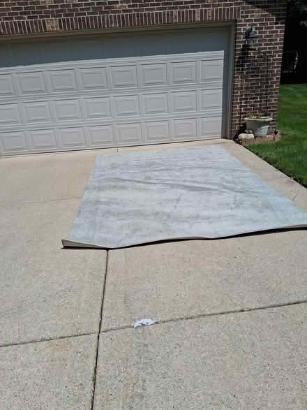 Photo of free 8 ft by 12 ft. light green carpet (northwest westland.) #1