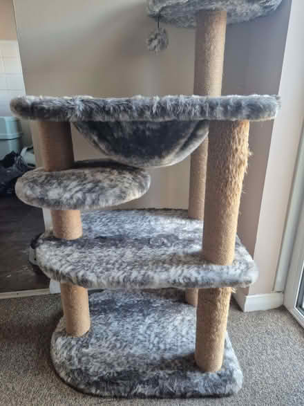 Photo of free Cat tree (Odd Down) #2