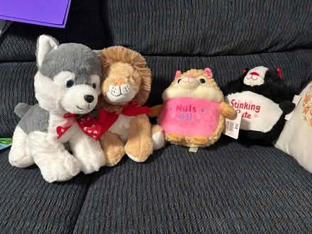 Photo of free NWT valentine plushies (Wayne) #1