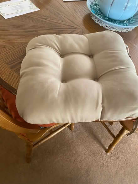 Photo of free Seat cushions (Belper DE56) #1