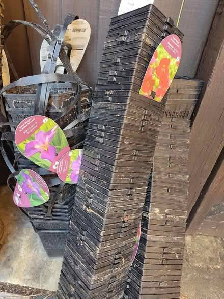 Photo of free Pond plant baskets 3L and 1L (South Hitchin, SG4 9) #1