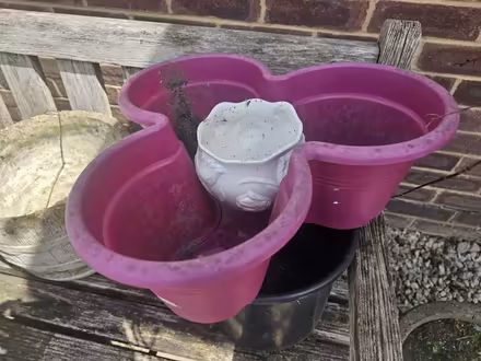 Photo of free Pots (Bishops Waltham SO32) #2