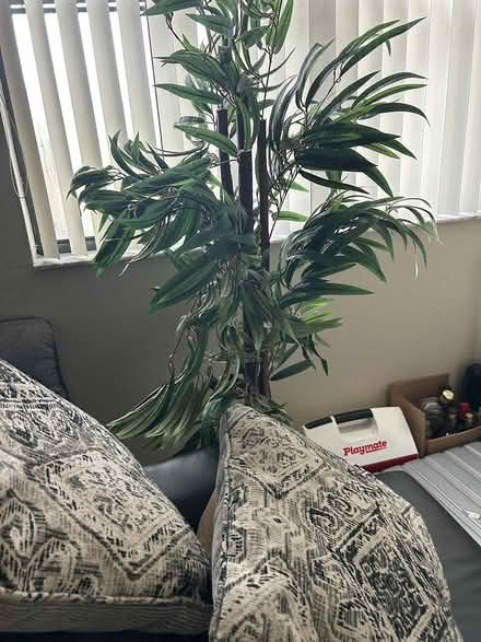 Photo of free Moving--Lots of items (South Miami near Bird/Red Road) #3
