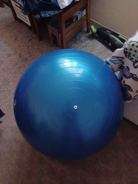 Photo of free Medicine ball (blue color) (Blossom Hill Road) #3