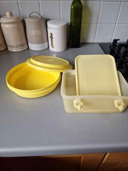 Photo of free Food storage containers, both with lids. (Birkby HD2) #1