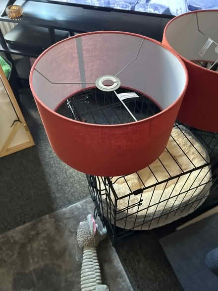 Photo of free 2 x large ceiling shades (Arbourthorne S2) #2