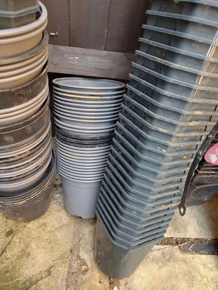 Photo of free 2 litre plant pots (South Hitchin, SG4 9) #1