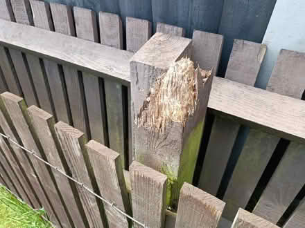 Photo of free Fencing (California DE22) #2