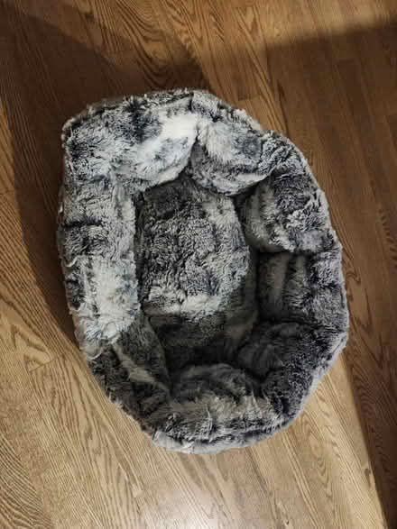 Photo of free Cat bed (Mooney's bay) #1