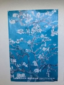 Photo of free VAN GOGH Museum Poster (Haller Lake) #1
