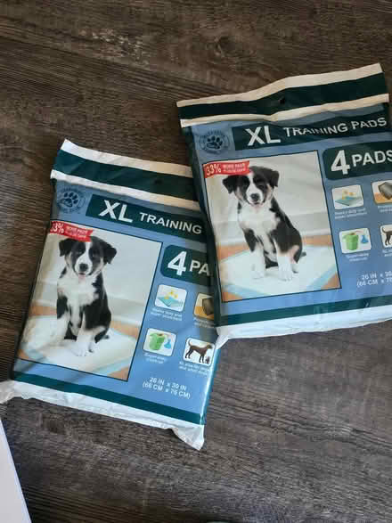 Photo of free Puppy Pads (Hayward) #1