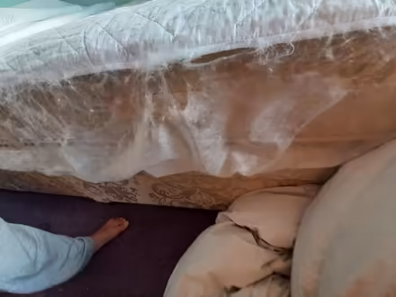 Photo of free Double Bed Mattress Protector (Collyhurst M40) #2