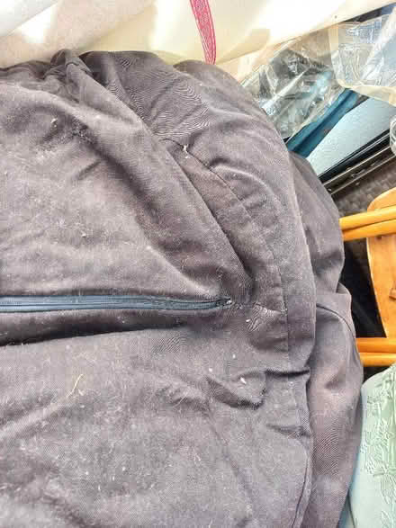Photo of free Bean Bag (Collyhurst M40) #2