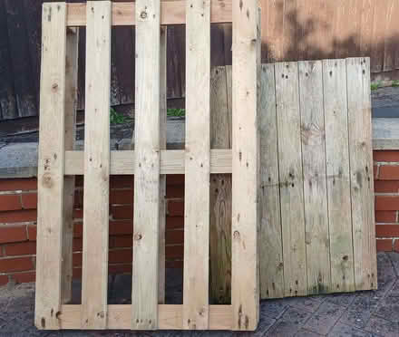 Photo of free Pallets (Okus SN1) #1