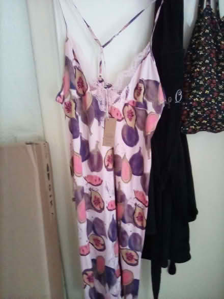 Photo of free Nighty (Riverside FK8) #1