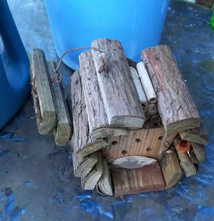 Photo of free BEE hotel (Twyford RG10) #2