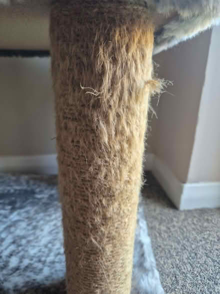 Photo of free Cat tree (Odd Down) #3