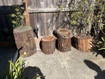 Photo of free Redwood Tree Stumps (Bay Farm Island) #2