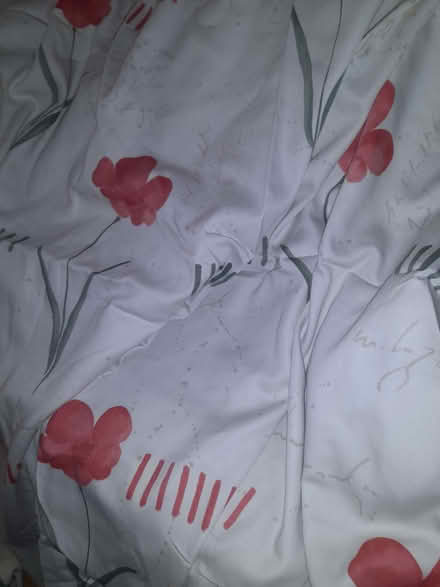Photo of free 2x pairs curtains (Havant PO9) #1