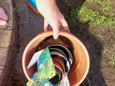 Photo of free Various plastic plant pots (Po7) #3