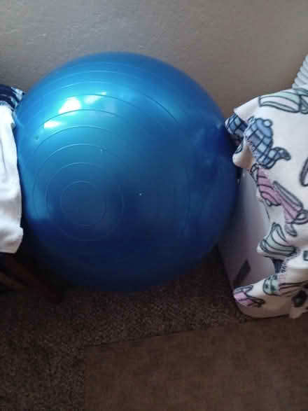 Photo of free Medicine ball (blue color) (Blossom Hill Road) #1