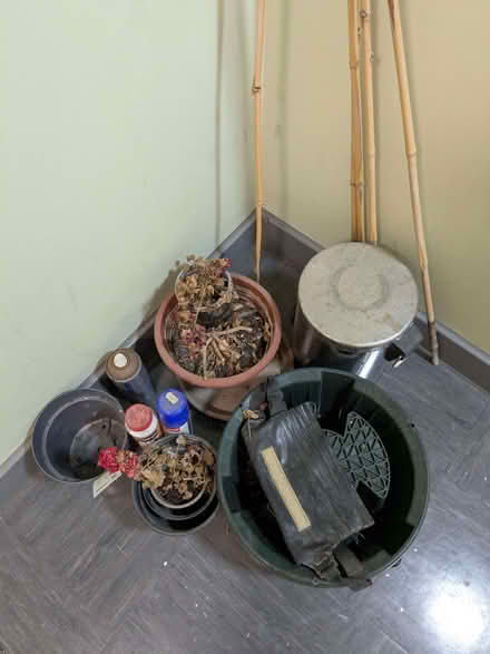 Photo of free Gardening bits and bobs (islington N1) #2
