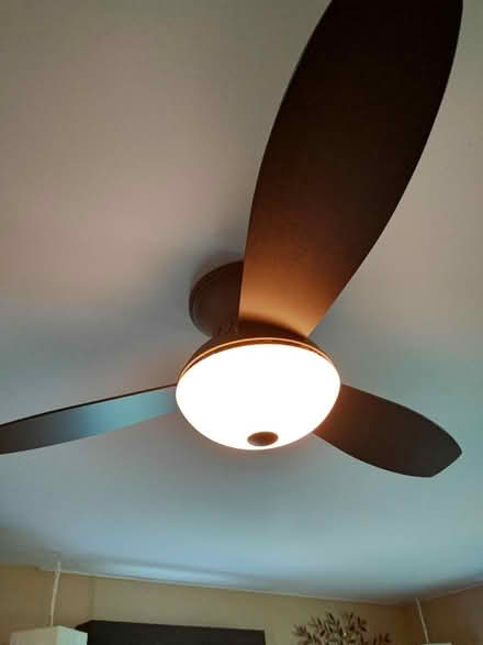 Photo of free Minka Aire fan, needs repair (Hunter Ln & Spring Valley Rd) #2