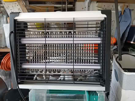 Photo of free insect killer! (Steyning BN44) #1