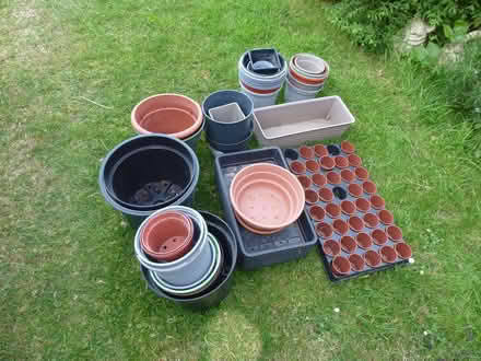 Photo of free Plant Pots (Hadleigh SS7) #1