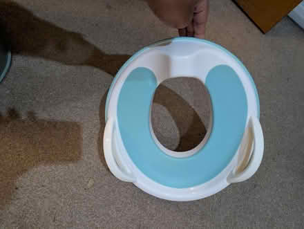 Photo of free Kids potty seat (Hungerford Road N7 london) #1