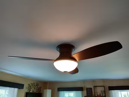 Photo of free Minka Aire fan, needs repair (Hunter Ln & Spring Valley Rd) #3