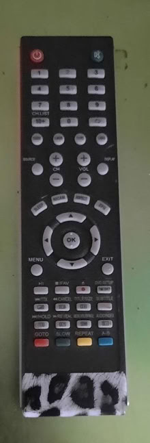 Photo of free Bush 22inch "Leopard" HD TV (Phiĺadelphia DH4) #2