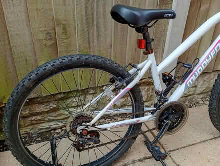 Photo of free Mountain Bike Muddyfox 24 inch (Gwernymynydd CH7) #2