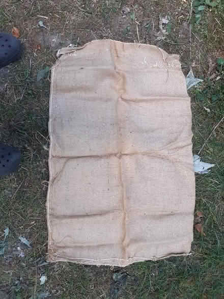 Photo of free Hessian sacks (Brantham CO11) #1