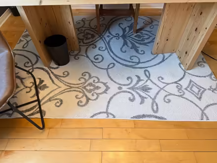 Photo of free area rug (Rockland on) #1