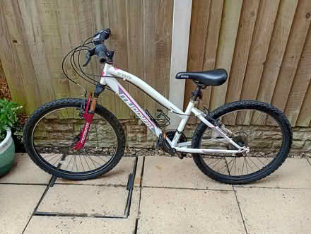 Photo of free Mountain Bike Muddyfox 24 inch (Gwernymynydd CH7) #4