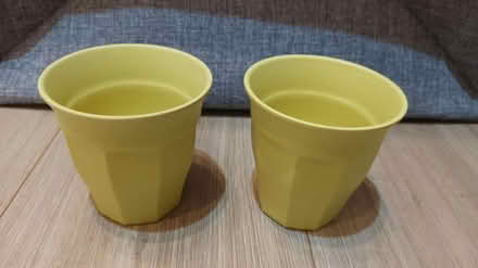 Photo of free Bamboo picnic cups x 2. Lime green (SW11) #1