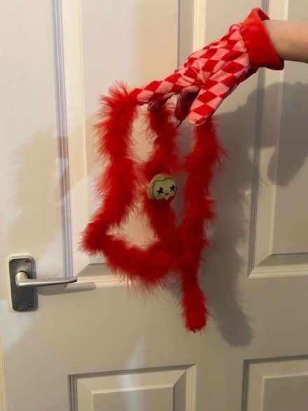 Photo of free Glove teaser cat toy (Jennetts park RG12) #2