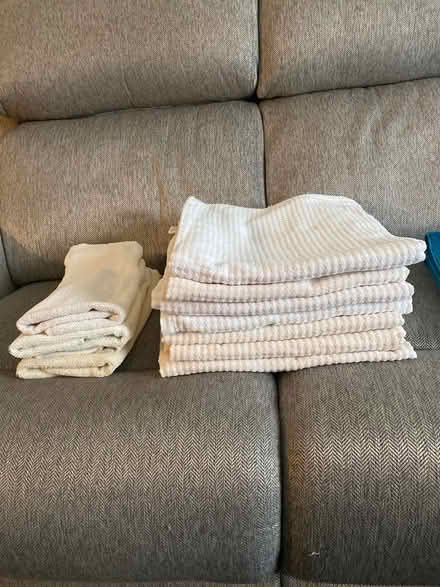 Photo of free towels (Somerset, NJ, off DeMott Lane) #1