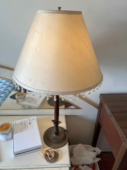 Photo of free Lampshade (Kadota x Alamo, Texas tract) #1