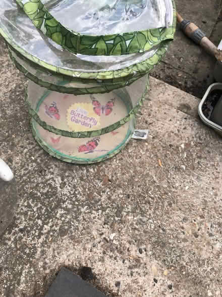 Photo of free Caterpillar/ butterfly enclosure (Birch CO2) #1