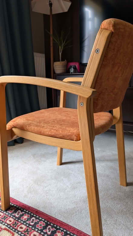 Photo of free Dining Chairs (Ladygrove OX11) #4